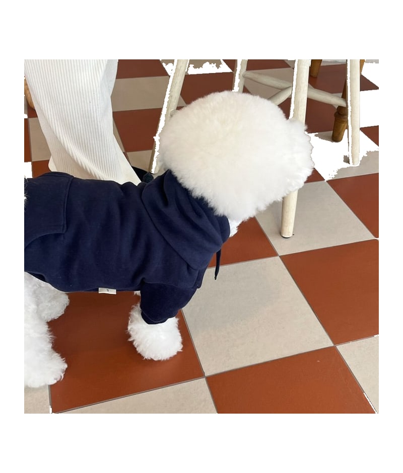 TeddyPomeranian Small Puppies Hooded Sweater Cat Clothing